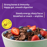 Chewboo Active Kid Bundle — All 4 Variants
